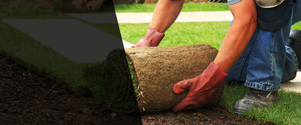 Cleveland Landscapers